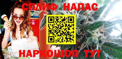 спиды Дубна