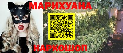 спиды Дубна
