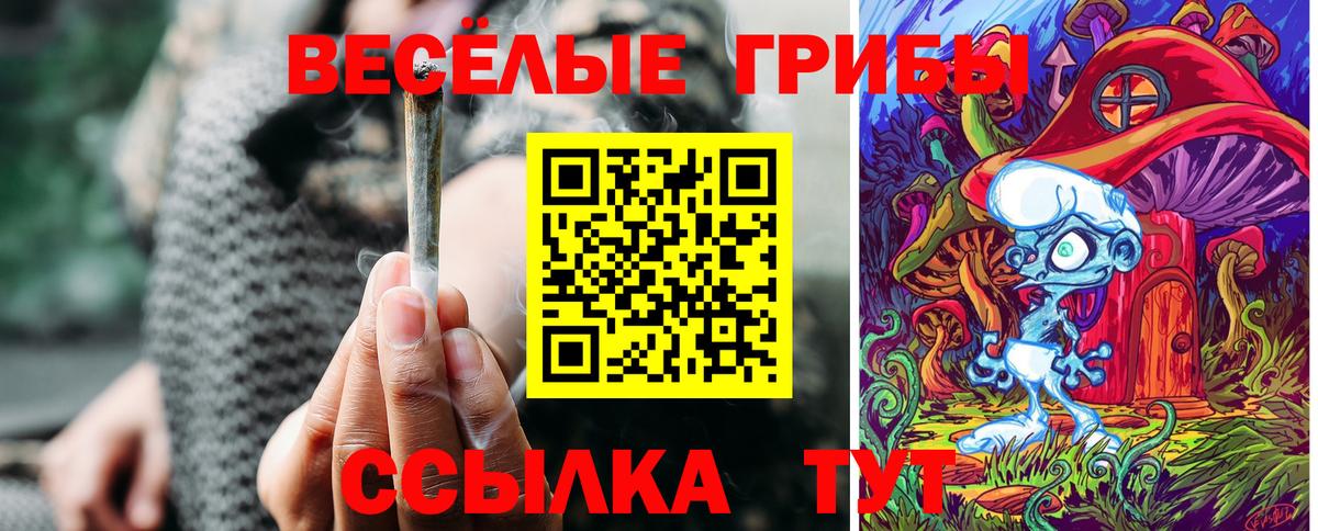 Псилоцибиновые грибы Cubensis Минеральные Воды